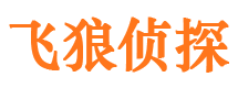 中原侦探公司